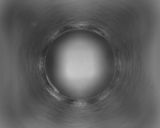 X0000051250284200507011700