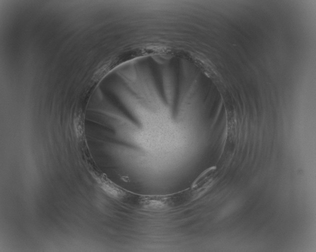 X0000051250285200507011700