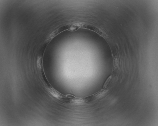 X0000051250286200507011700