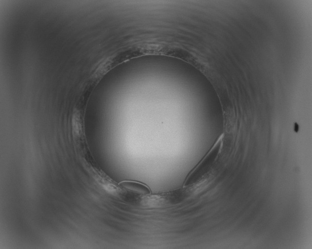 X0000051250287200507011700