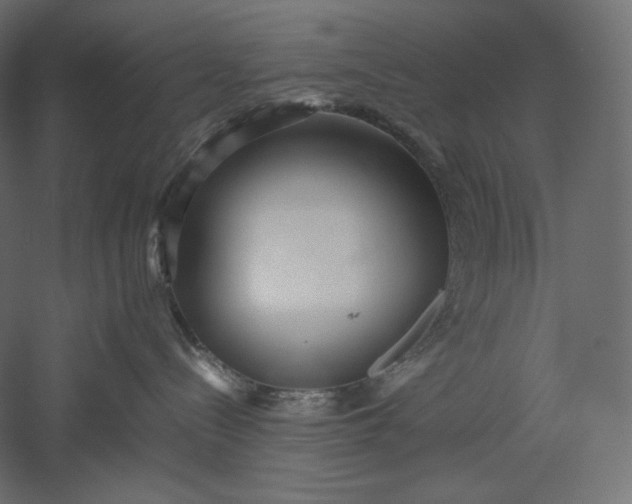 X0000051250288200507011700