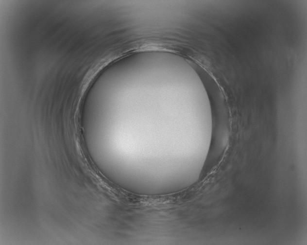 X0000051250289200507011659