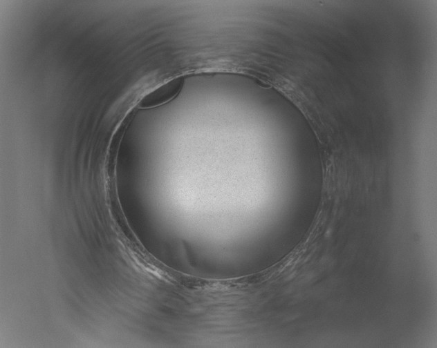 X0000051250290200507011659