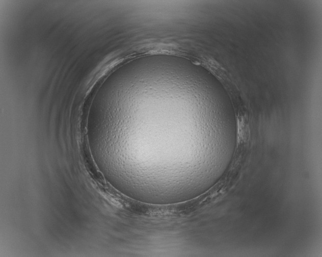 X0000051250291200507011659