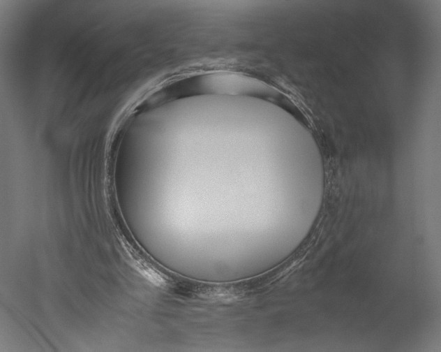 X0000051250293200507011659