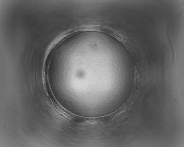 X0000051250294200507011659