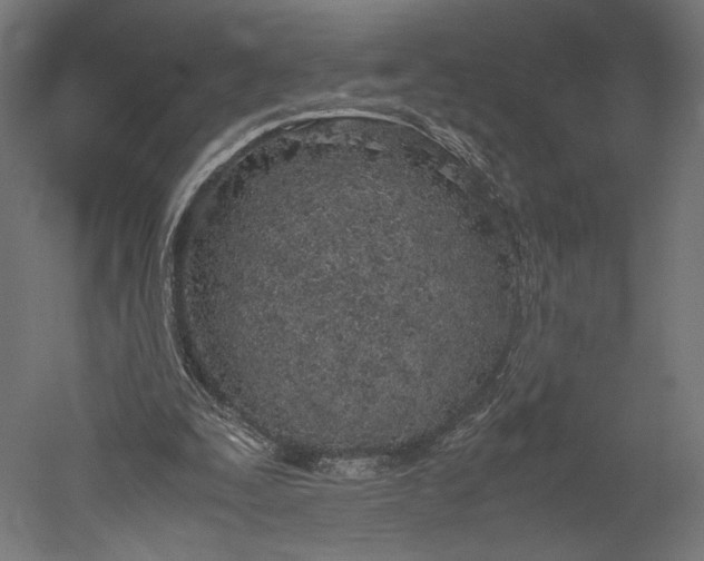 X0000051250295200507011659