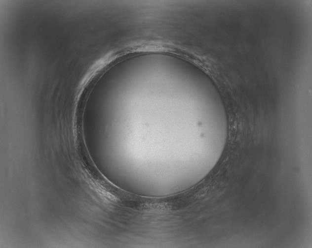 X0000051250296200507011659