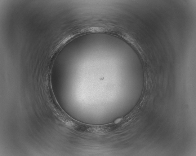 X0000051250297200507011659