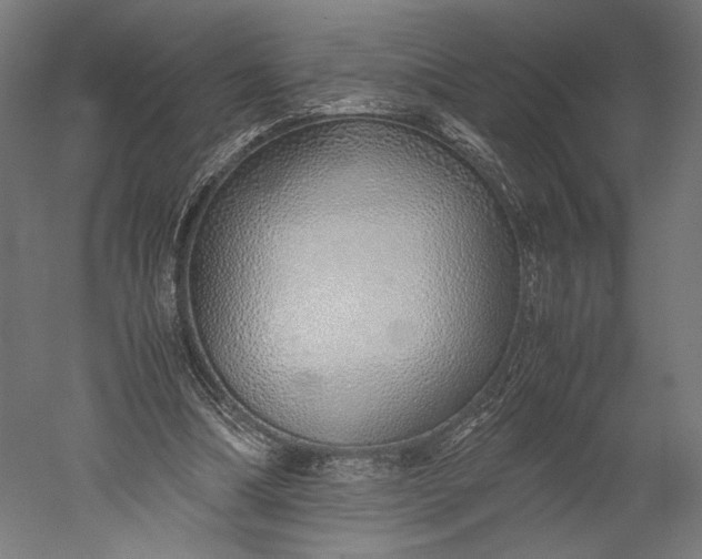 X0000051250298200507011659