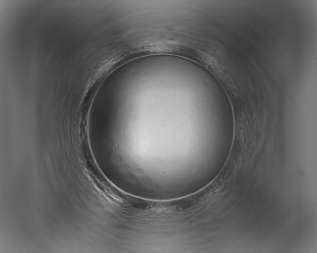 X0000051250299200507011659