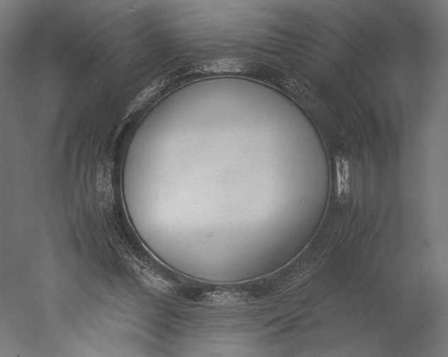 X0000051250300200507011659