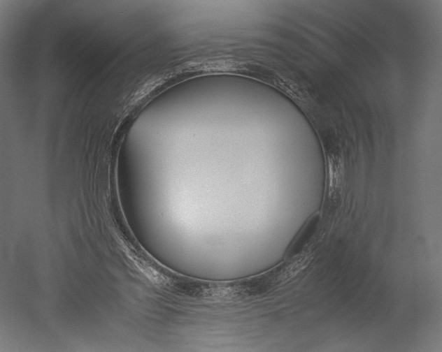 X0000051250301200507011659