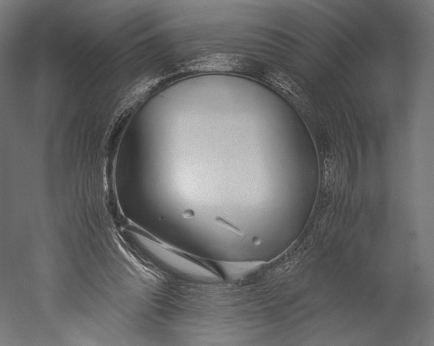 X0000051250302200507011659