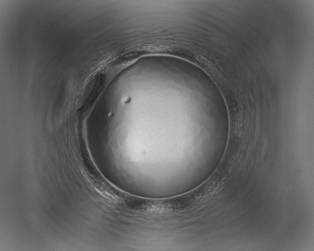 X0000051250303200507011659