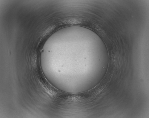 X0000051250304200507011659