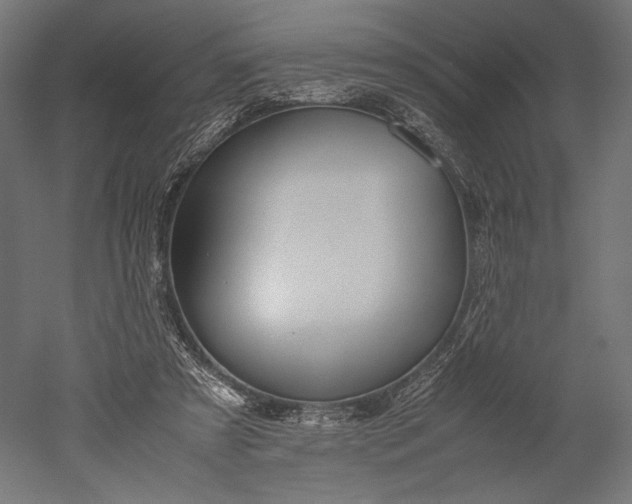 X0000051250305200507011659