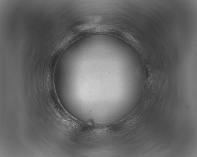 X0000051250306200507011659