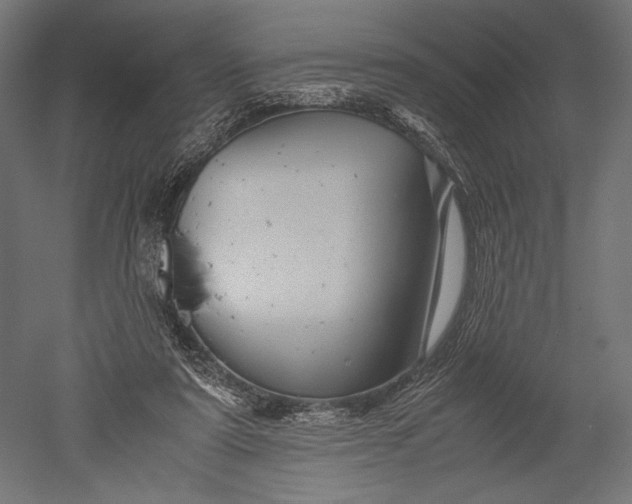 X0000051250307200507011659