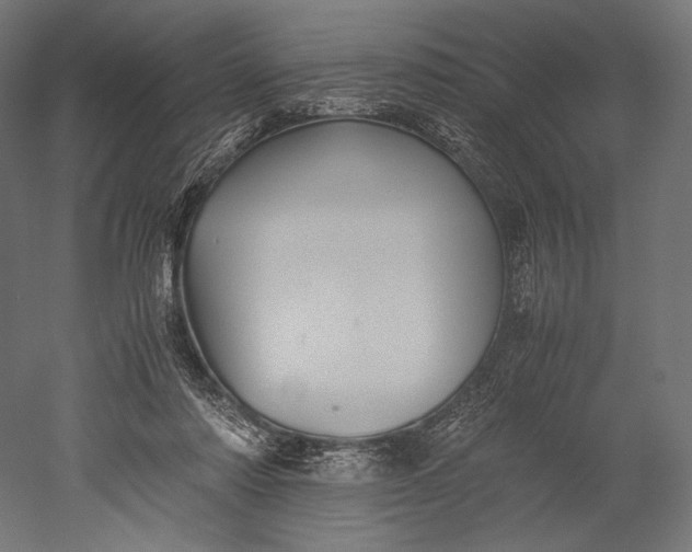 X0000051250310200507011659