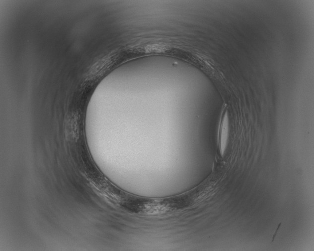 X0000051250311200507011659