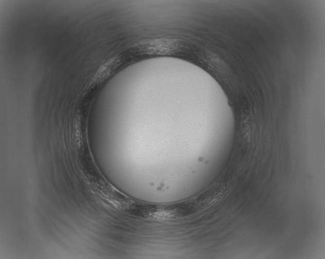 X0000051250312200507011659