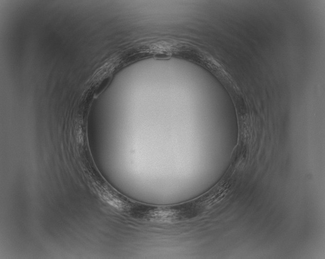 X0000051250313200507011659