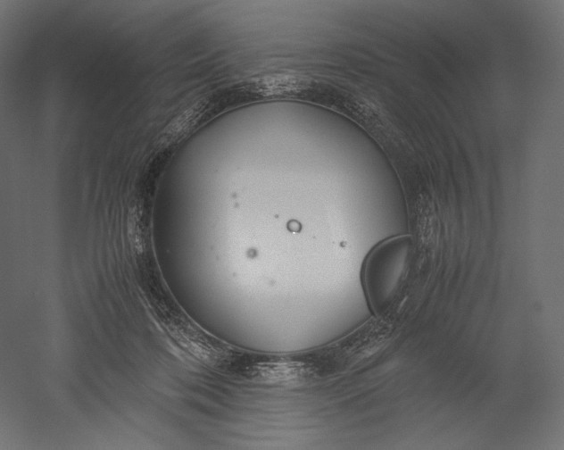 X0000051250316200507011659