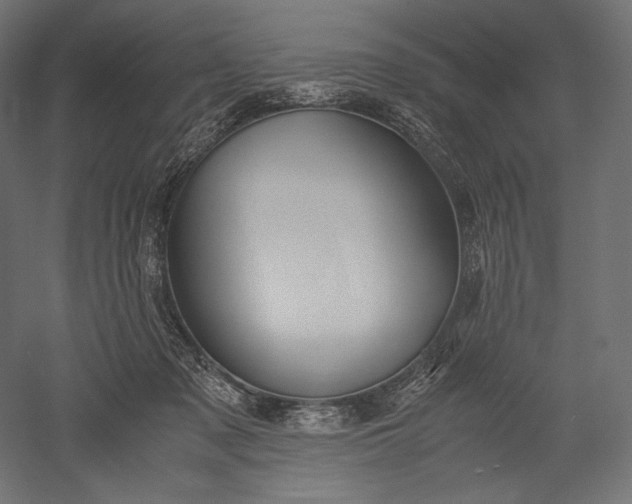 X0000051250317200507011659