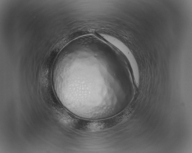 X0000051250319200507011659