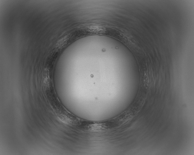 X0000051250320200507011659