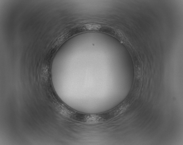 X0000051250321200507011659