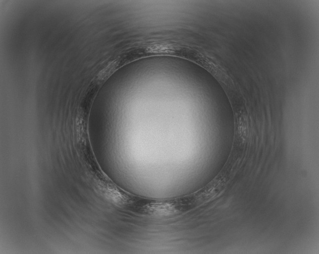 X0000051250322200507011659