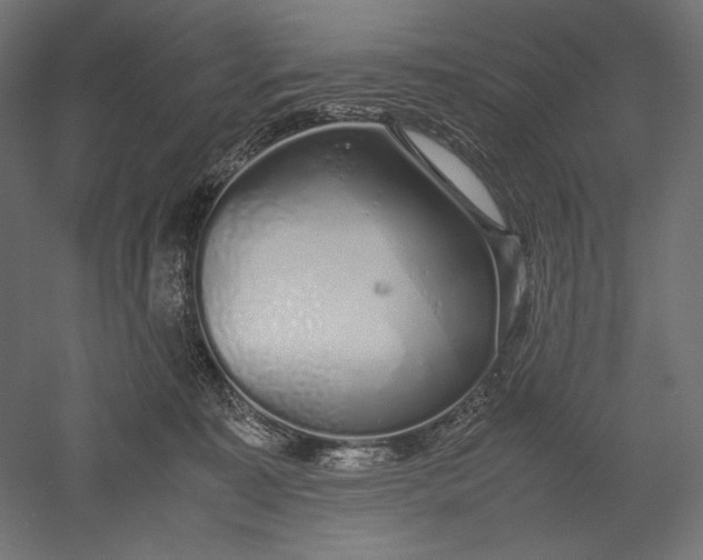 X0000051250323200507011659