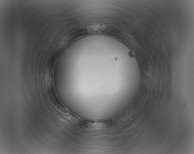 X0000051250324200507011659