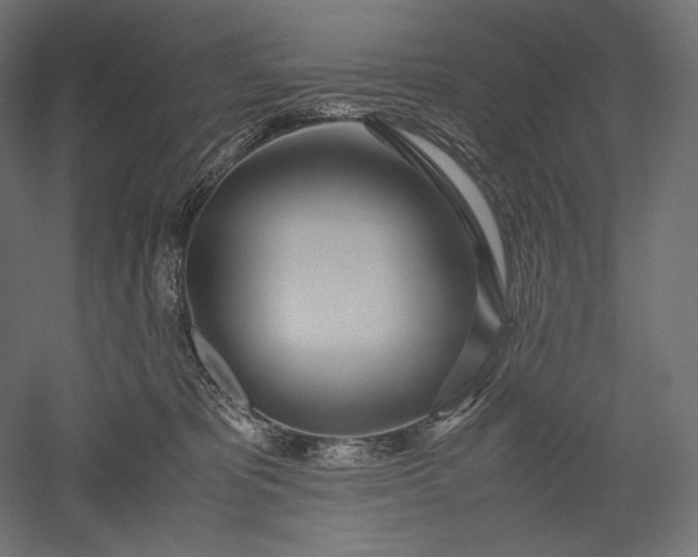 X0000051250325200507011659