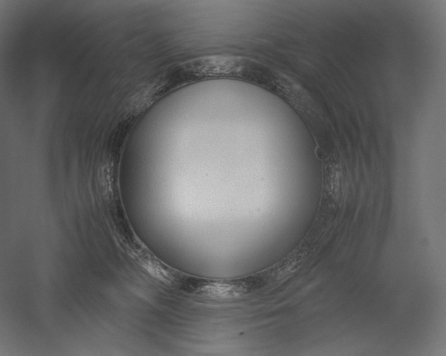 X0000051250326200507011659