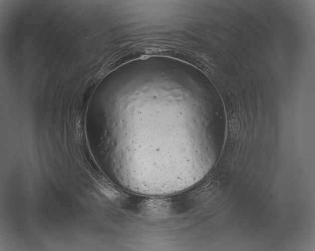 X0000051250327200507011659