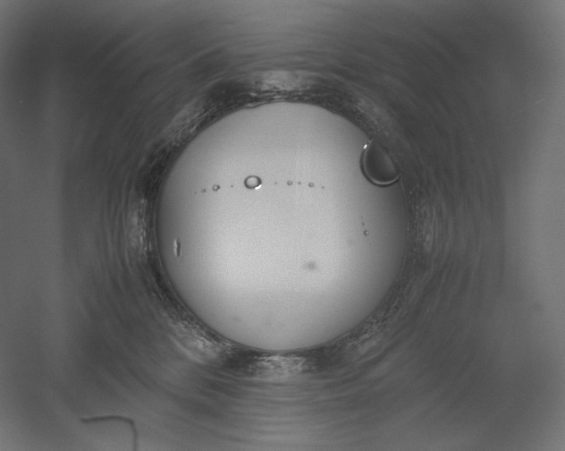 X0000051250328200507011659