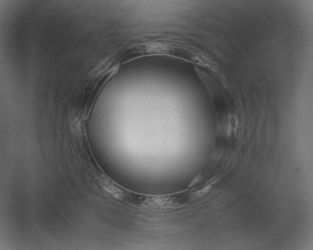 X0000051250329200507011659