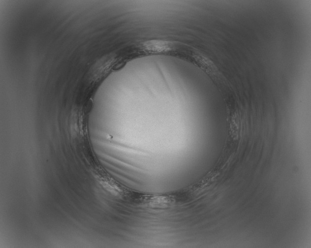 X0000051250330200507011659