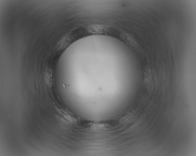 X0000051250332200507011659