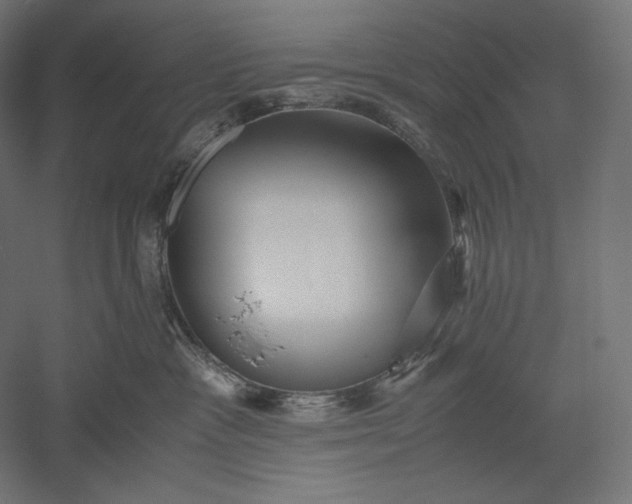 X0000051250333200507011659