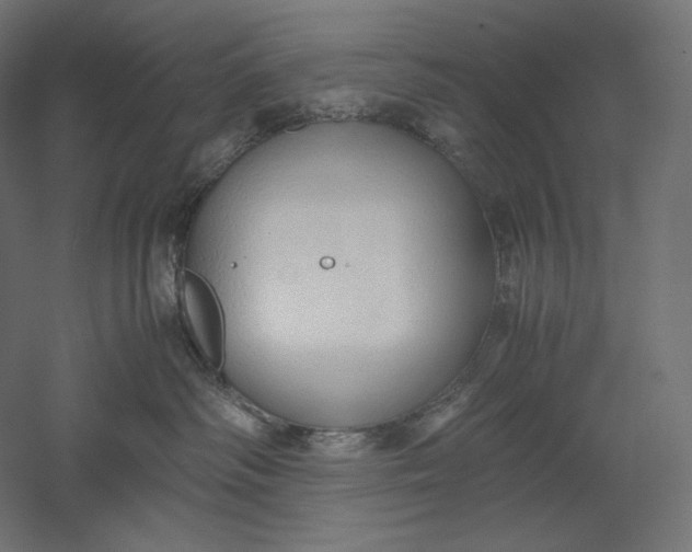 X0000051250334200507011659