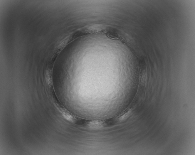 X0000051250335200507011659