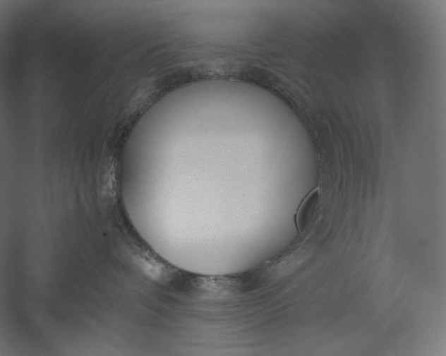 X0000051250336200507011659