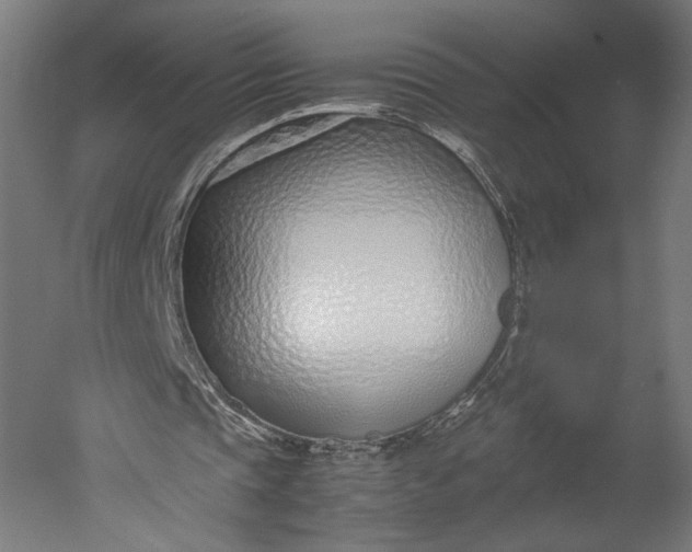 X0000051250337200507011658