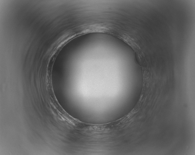 X0000051250338200507011658