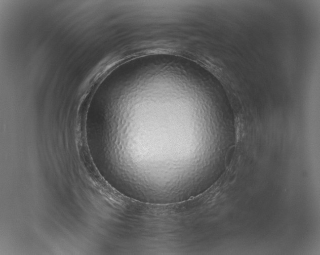 X0000051250339200507011658