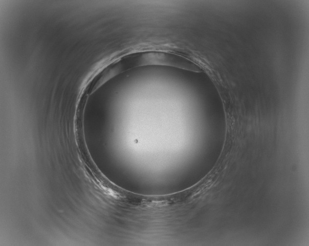 X0000051250340200507011658